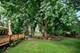 1101 Drake, Prospect Heights, IL 60070