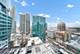 910 S Michigan Unit 1315, Chicago, IL 60605