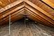 1309 S 7th, Maywood, IL 60153