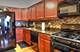 526 Thomas, Bolingbrook, IL 60440