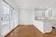 1038 N Lasalle Unit W, Chicago, IL 60610
