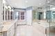 493 N Canal, Chicago, IL 60654