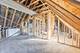 1646 S Homan, Chicago, IL 60623
