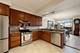 10024 S Roberts, Palos Hills, IL 60465