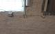81 W 15th, Chicago Heights, IL 60411
