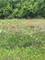 3159 Cuba, Long Grove, IL 60047