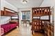 840 N Lake Shore Unit 1002, Chicago, IL 60611