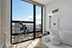 1160 S Michigan Unit 4501, Chicago, IL 60605