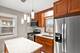 10231 S Rhodes, Chicago, IL 60628