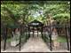 5940 S King Unit 4N, Chicago, IL 60637