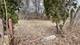 31918 Hillside, Lakemoor, IL 60051