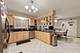 8729 W Summerdale, Chicago, IL 60656