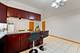8729 W Summerdale, Chicago, IL 60656