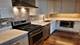 1101 Dodge Unit 203, Evanston, IL 60202