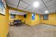 22 Strauss, Olympia Fields, IL 60461