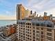 1313 N Ritchie Unit 1301, Chicago, IL 60610