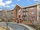 3525 S Cass Unit 418, Oak Brook, IL 60523