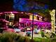 1720 Maple Unit 2470, Evanston, IL 60201