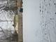 208 Miami, Park Forest, IL 60466