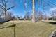 1520 Blackhawk, Schaumburg, IL 60193