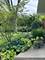 1520 Blackhawk, Schaumburg, IL 60193