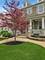 3031 Settlers, Elgin, IL 60124