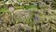 Lot 1 Harmony, Huntley, IL 60142