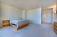 1600 S Prairie Unit 2309, Chicago, IL 60616