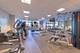 1600 S Prairie Unit 2309, Chicago, IL 60616