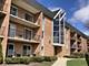 1056 N Mill Unit 301, Naperville, IL 60563