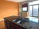 2323 W Pershing Unit 522, Chicago, IL 60609