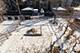 3827 W Gladys, Chicago, IL 60624