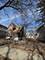 20 E 117th, Chicago, IL 60628