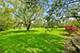 13 Gunflint, Oswego, IL 60543