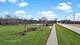 1078 E Wilson, Batavia, IL 60510