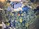 Lot 22 Sherman, Downers Grove, IL 60515
