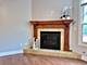 4133 Royal Mews, Naperville, IL 60564