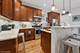 2531 W Lyndale, Chicago, IL 60647