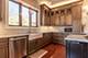 6145 Whitetail Ridge, Yorkville, IL 60560