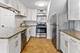 1221 N Dearborn Unit 609S, Chicago, IL 60610