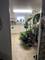 1224 White, Des Plaines, IL 60018