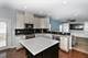 16602 Lewood, Plainfield, IL 60586