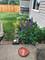 722 Burton, Batavia, IL 60510