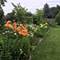 722 Burton, Batavia, IL 60510