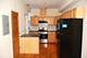 4557 S Michigan Unit 3, Chicago, IL 60653