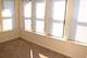 4557 S Michigan Unit 3, Chicago, IL 60653