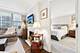 400 E Randolph Unit 2026, Chicago, IL 60601