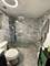 5100 W Pensacola Unit 1, Chicago, IL 60641