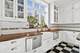 4234 N Hazel, Chicago, IL 60613