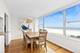 1000 N Lake Shore Unit 1509, Chicago, IL 60611
